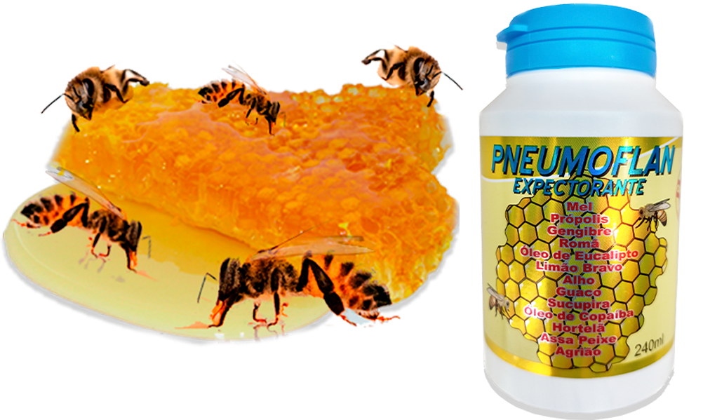 foto pneumoflan